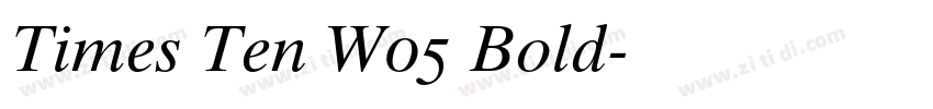 Times Ten W05 Bold字体转换